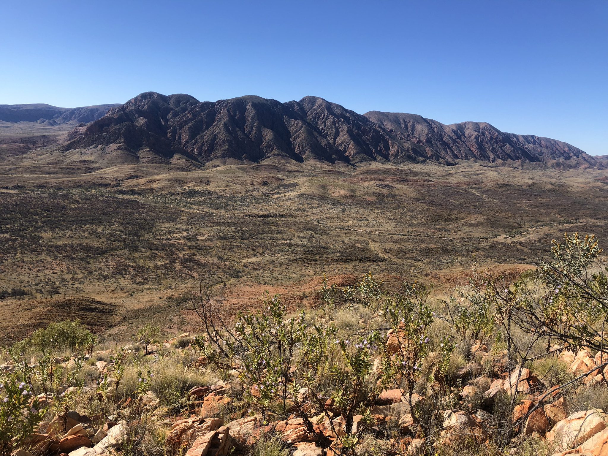 Mount Giles from Hermits Hideaway, Larapinta Trail